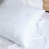 Подушка Viluta с лебединым пухом Soft 40х60 (soft_40*60) изображение 4