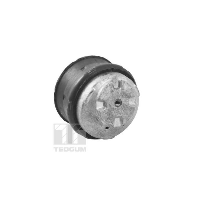Опора двигателя TEDGUM TED81021 изображение 3