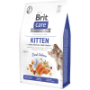 Сухой корм для кошек Brit Care Cat GF Kitten Gentle Digestion Strong Immunity с лососем 2 кг (8595602565047)