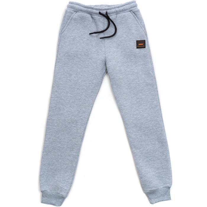 Штаны детские Cloise спортивные флисовые (CL0155019-140B-lightgray)