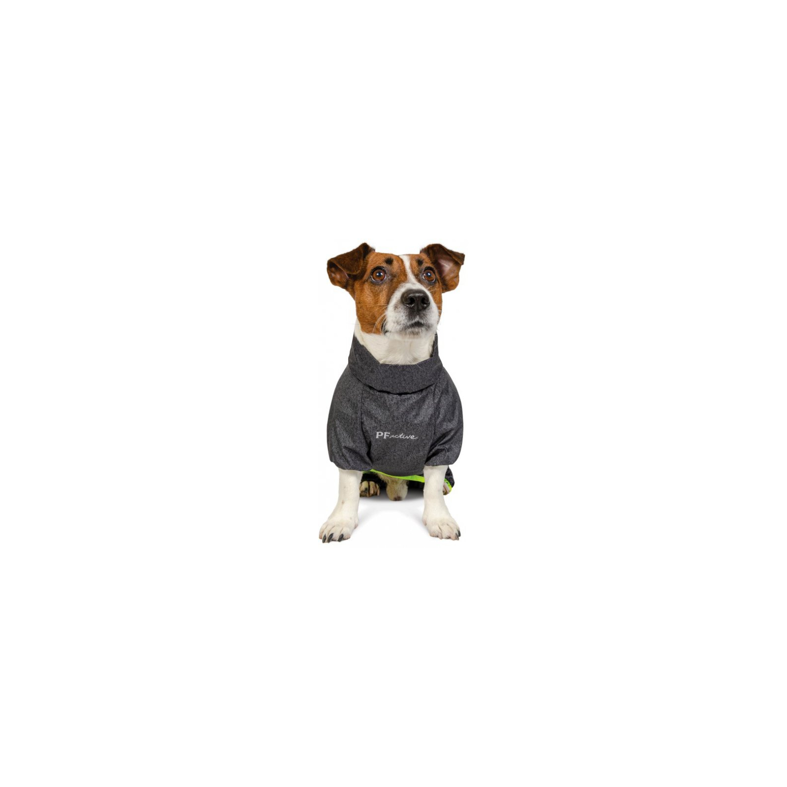 Комбінезон для тварин Pet Fashion RAIN для такси S (сірий) (4823082416356) зображення 2