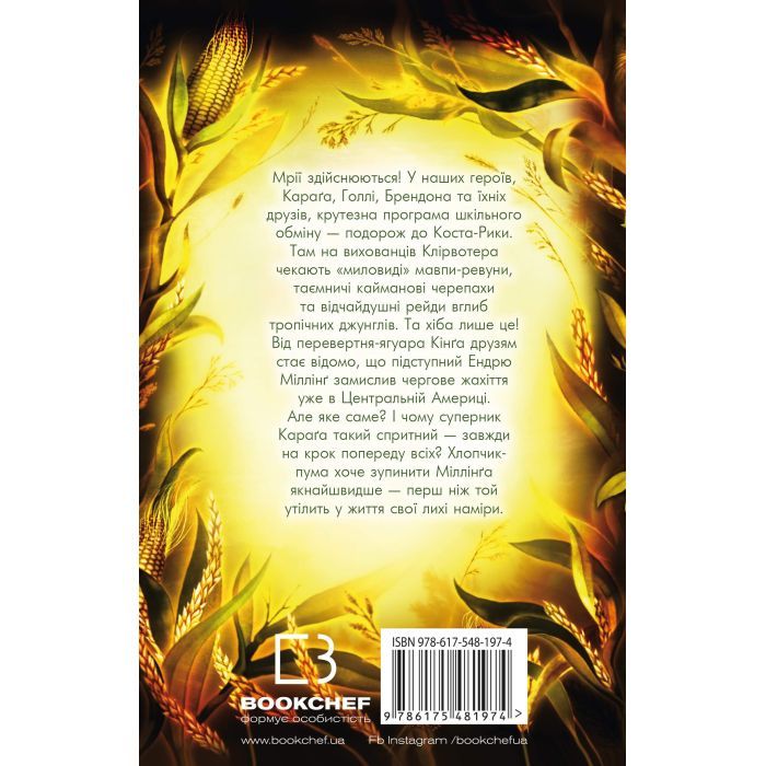Книга Діти лісу. Незвіданий край. Книга 4 - Катя Брандіс BookChef (9786175481974) изображение 3