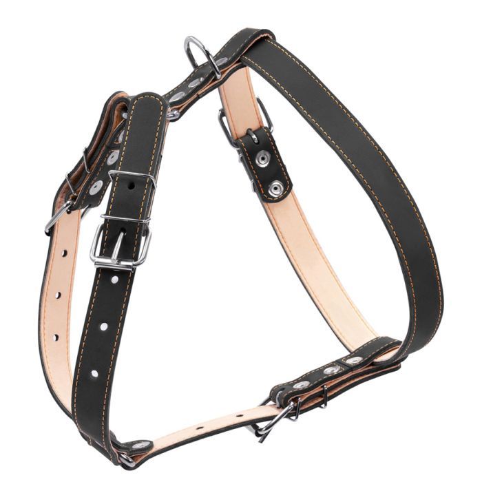 Шлея для собак Collar подвійна для середніх порід Ш 25 мм А:49-68 см В:68-80 см коричнева (06426) зображення 2