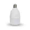 Лампочка Lightwell T80 20W E27+E27/E40 RING