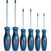 Набор отверток Bosch Torx 6шт, T10х75, T15х75, T20x100, T25x100, T30x125, T40x125 мм (1.600.A01.V09)