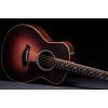 Гитара электроакустическая Taylor Guitars 50th Anniversary GS Mini-e Rosewood SB LTD (236873) изображение 3