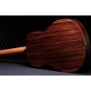 Гитара электроакустическая Taylor Guitars 50th Anniversary GS Mini-e Rosewood SB LTD (236873) изображение 4