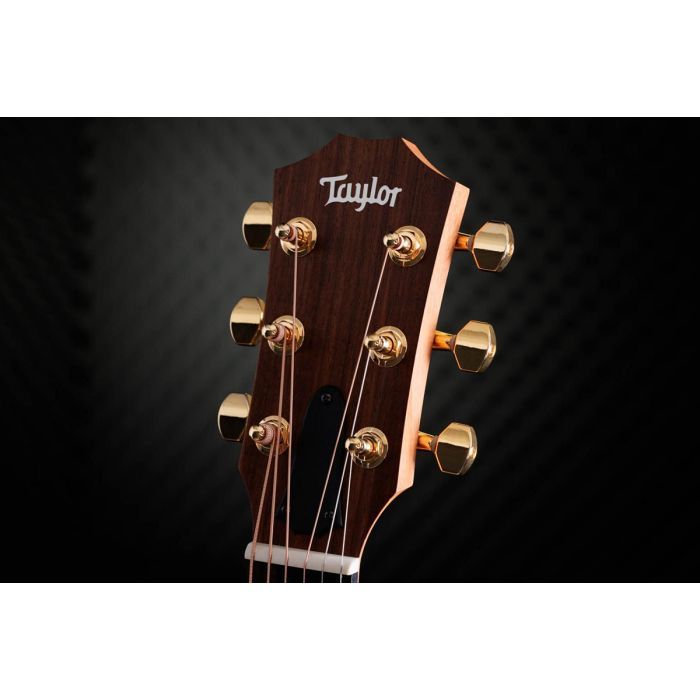 Гитара электроакустическая Taylor Guitars 50th Anniversary GS Mini-e Rosewood SB LTD (236873) изображение 5