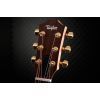 Гитара электроакустическая Taylor Guitars 50th Anniversary GS Mini-e Rosewood SB LTD (236873) изображение 5
