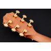Гитара электроакустическая Taylor Guitars 50th Anniversary GS Mini-e Rosewood SB LTD (236873) изображение 6