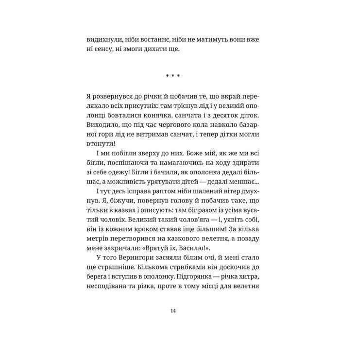 Книга Гупало Василь. Шість із половиною пригод - Фоззі Видавництво Старого Лева (9789666799985) зображення 6
