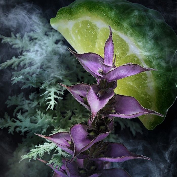 Туалетная вода Davidoff Champion 90 мл (3607340188602) изображение 5