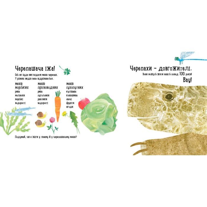 Книга Куди поділася черепаха - Наталія Чуб Ранок (9786170942937) зображення 2