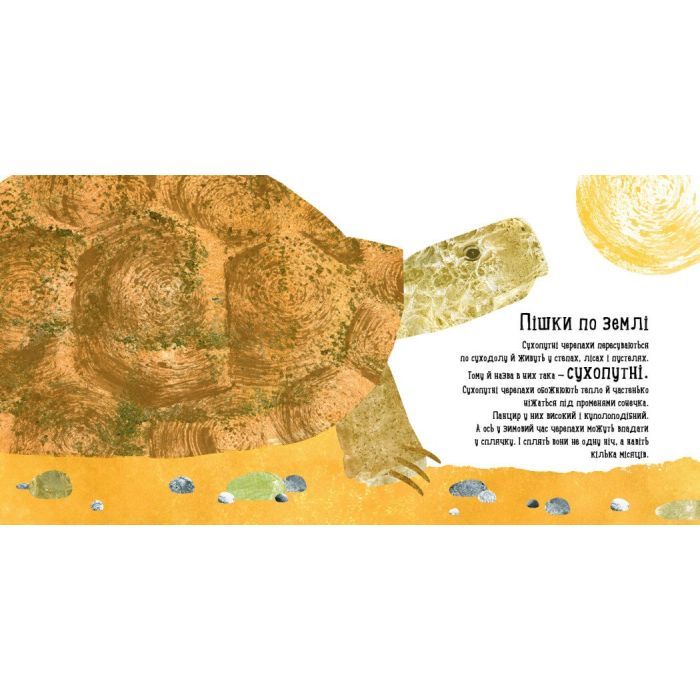 Книга Куди поділася черепаха - Наталія Чуб Ранок (9786170942937) зображення 3