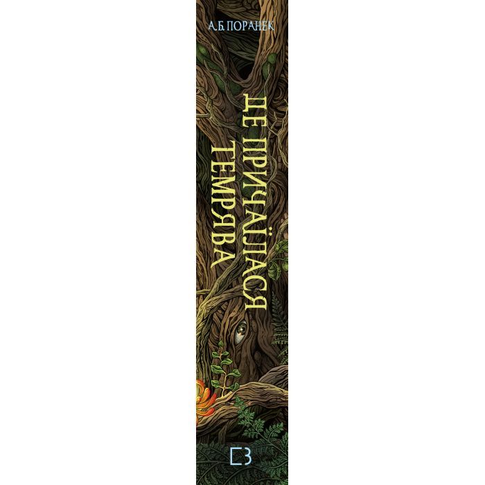 Книга Де причаїлася темрява - А.Б. Поранек BookChef (9786175484838) зображення 2