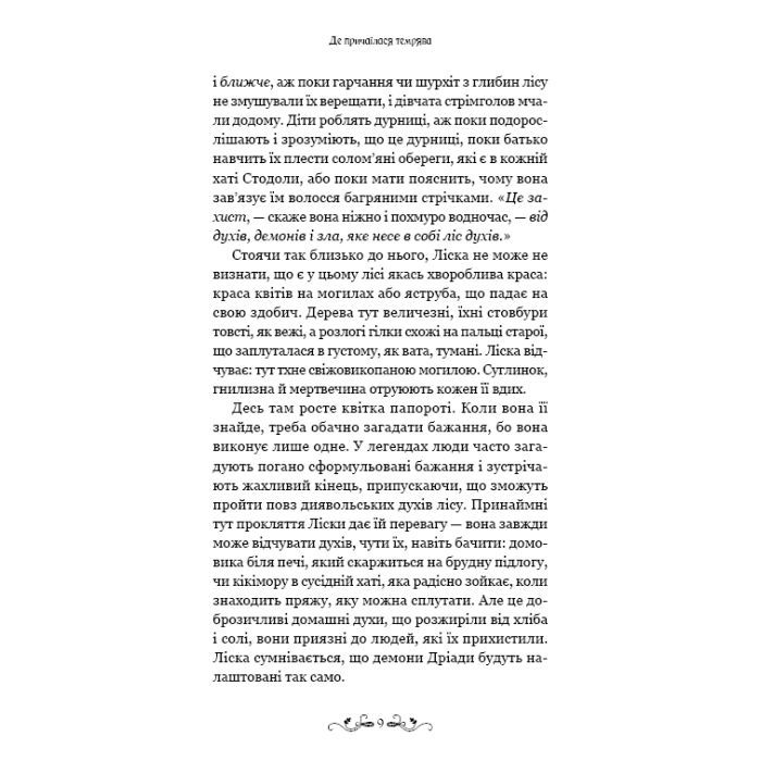 Книга Де причаїлася темрява - А.Б. Поранек BookChef (9786175484838) зображення 7