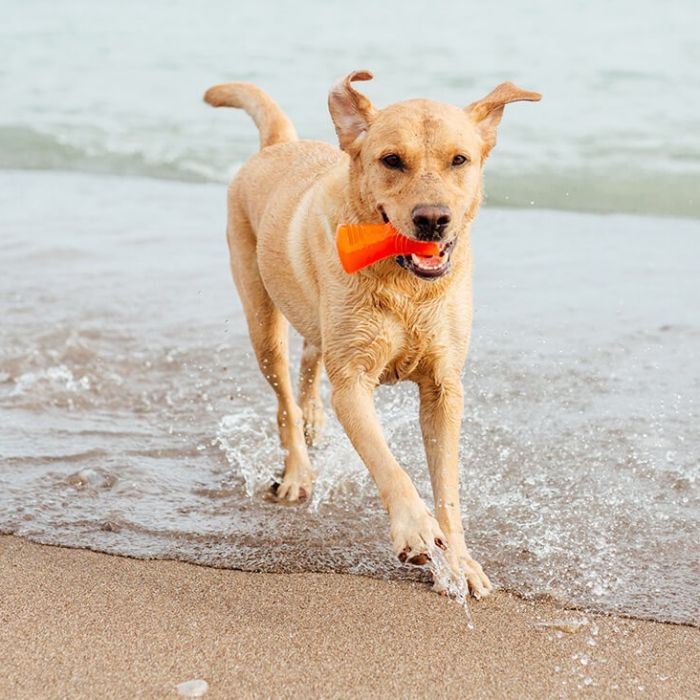 Игрушка для собак Bionic Кость оранжевая 12 см (0700603300919) изображение 4