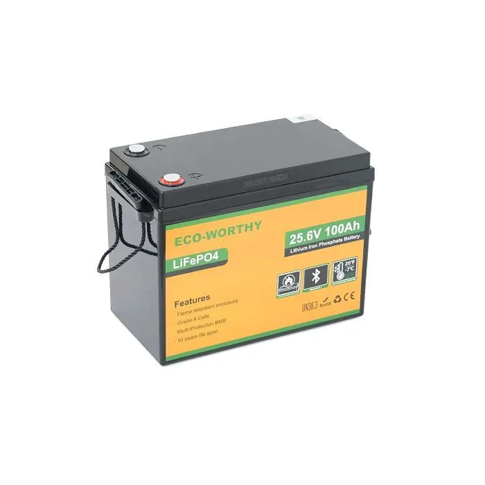 Батарея LiFePo4 Dyness 25,6V 100Ah (80/100A) (Eco-Worthy-251002)