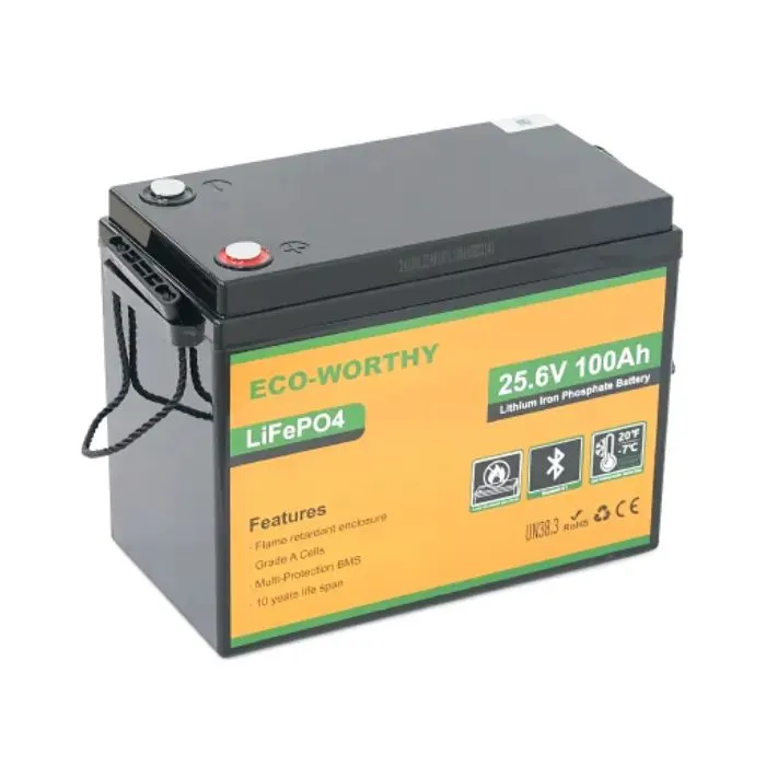 Батарея LiFePo4 Dyness 25,6V 100Ah (80/100A) (Eco-Worthy-251002)