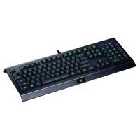 Клавиатура Razer Cynosa Lite Chroma (RZ03-02741500-R3R1) изображение 2