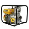 Мотопомпа Forte FP30C (60м3/г) (25212)