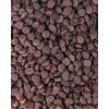 Сухой корм для кошек Carnilove True Fresh Cat Fish 340 г (8595602561414) изображение 5