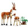 Конструктор LEGO Creator Дикие животные сафари 780 деталей (31150) изображение 8