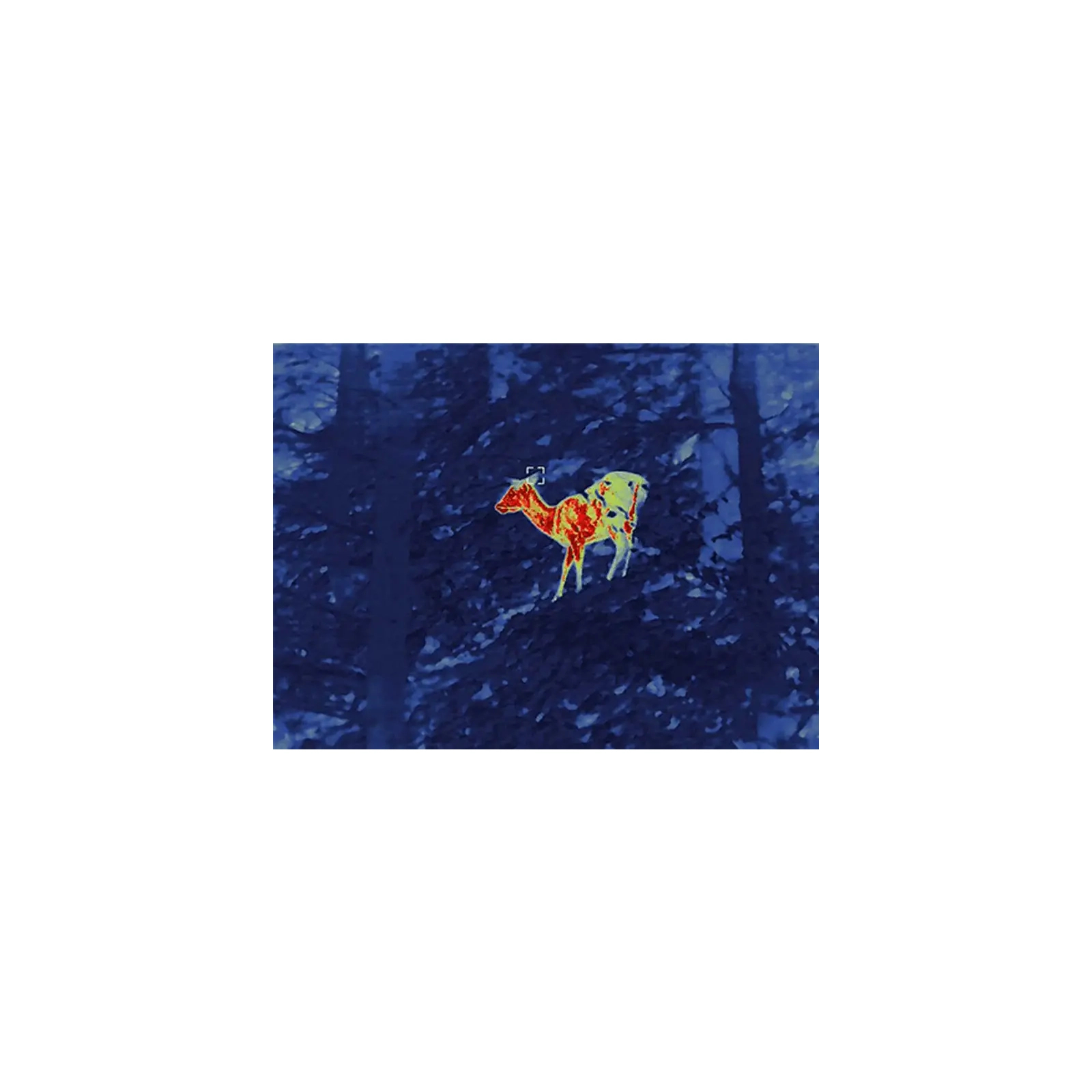 Тепловизионный прицел Guide TU451 Gen2 3,8-15,2x50 400x300@12μm VOx 1400 м (TU451) изображение 10