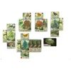 Настольная игра Lord of Boards Лесная суета (Forest Shuffle) (LOB2329UA) изображение 2