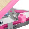 Парта со стулом FunDesk Piccolino III Pink-w изображение 5