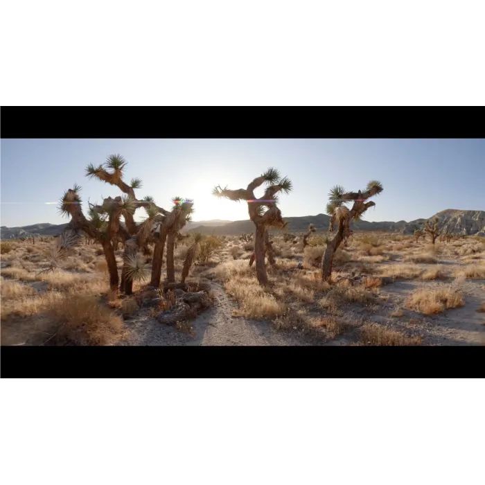 Аксессуар к экшн-камерам GoPro Anamorphic Lens Mod for HERO13 Black (AEWAL-011) изображение 7