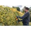 Кусторез DeWALT аккумуляторный, 18V, нож 55 см, до 19 мм, 5Ah (DCMHT562P1) изображение 9