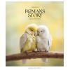 Тетрадь Школярик Romance stories 96 листов линия (096-3571L)
