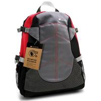 Рюкзак для ноутбука Canyon 12 Green series (CNF-NB03R)