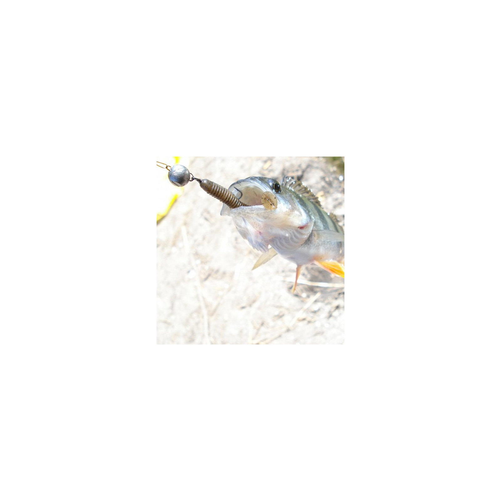 Силикон рыболовный Keitech Swing Impact 4" (8 шт/упак) ц:ea#13 spicy mustard/blue (1551.10.24) изображение 2