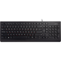 Клавиатура Lenovo 300 Black (GX30M39684)