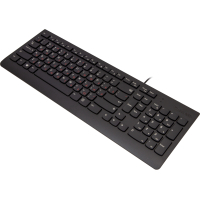 Клавиатура Lenovo 300 Black (GX30M39684) изображение 2