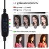 Набор блогера Puluz Ring USB LED lamp PU397 10.2" (PU397) изображение 2