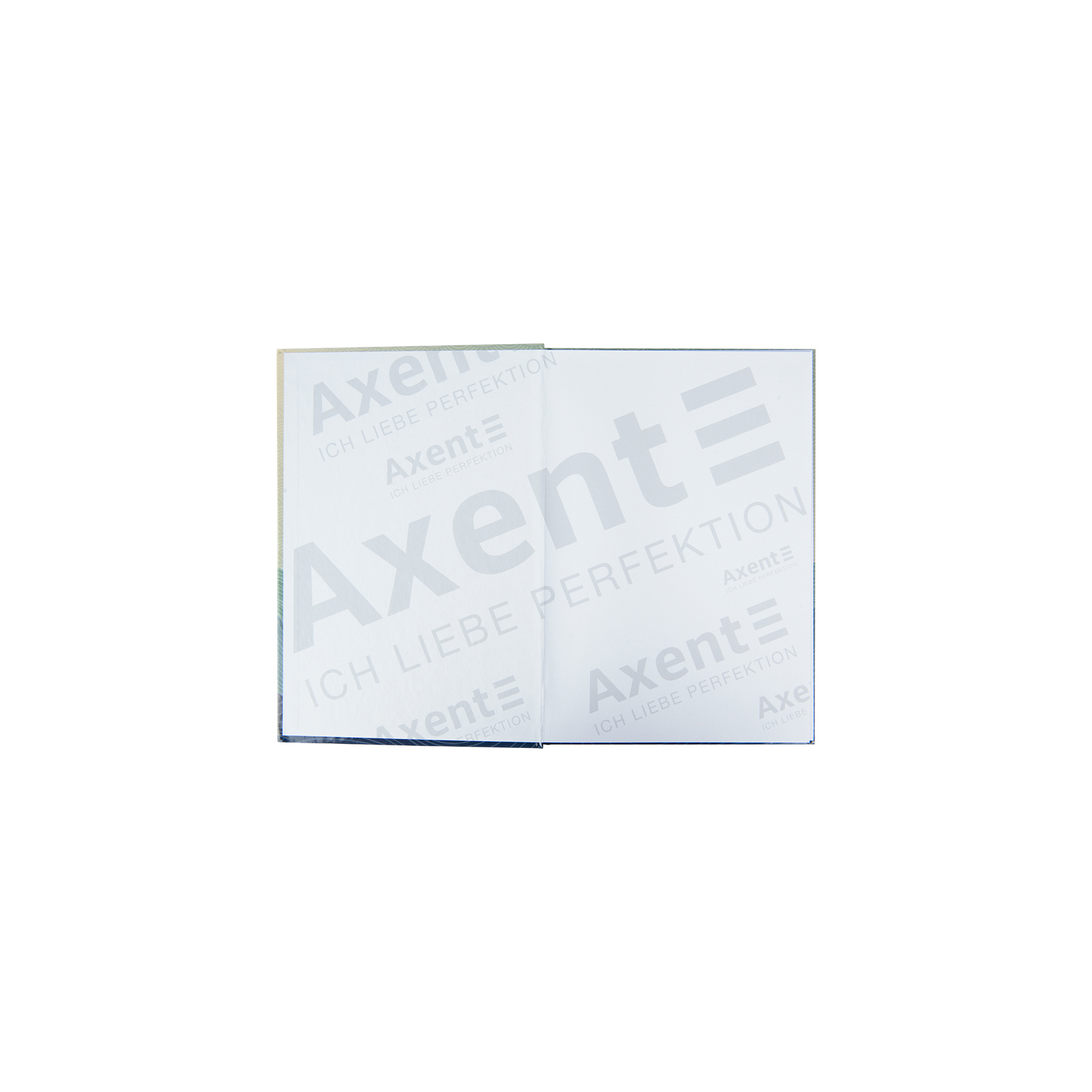 Книга записна Axent Waves А4, 96 аркушів, клітинка, бронзова (8422-563-A) зображення 2