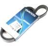 Поликлиновый ремень DAYCO 6PK1059EE