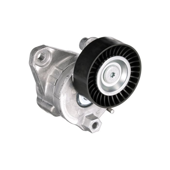 Натягувач ременя з роликом Gates T38319