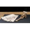Конструктор Ugears Драгстер (6337395) изображение 11