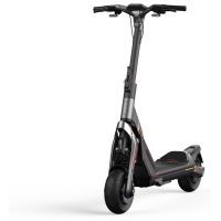 Электросамокат Segway Ninebot GT1E Black (AA.00.0012.41) изображение 3