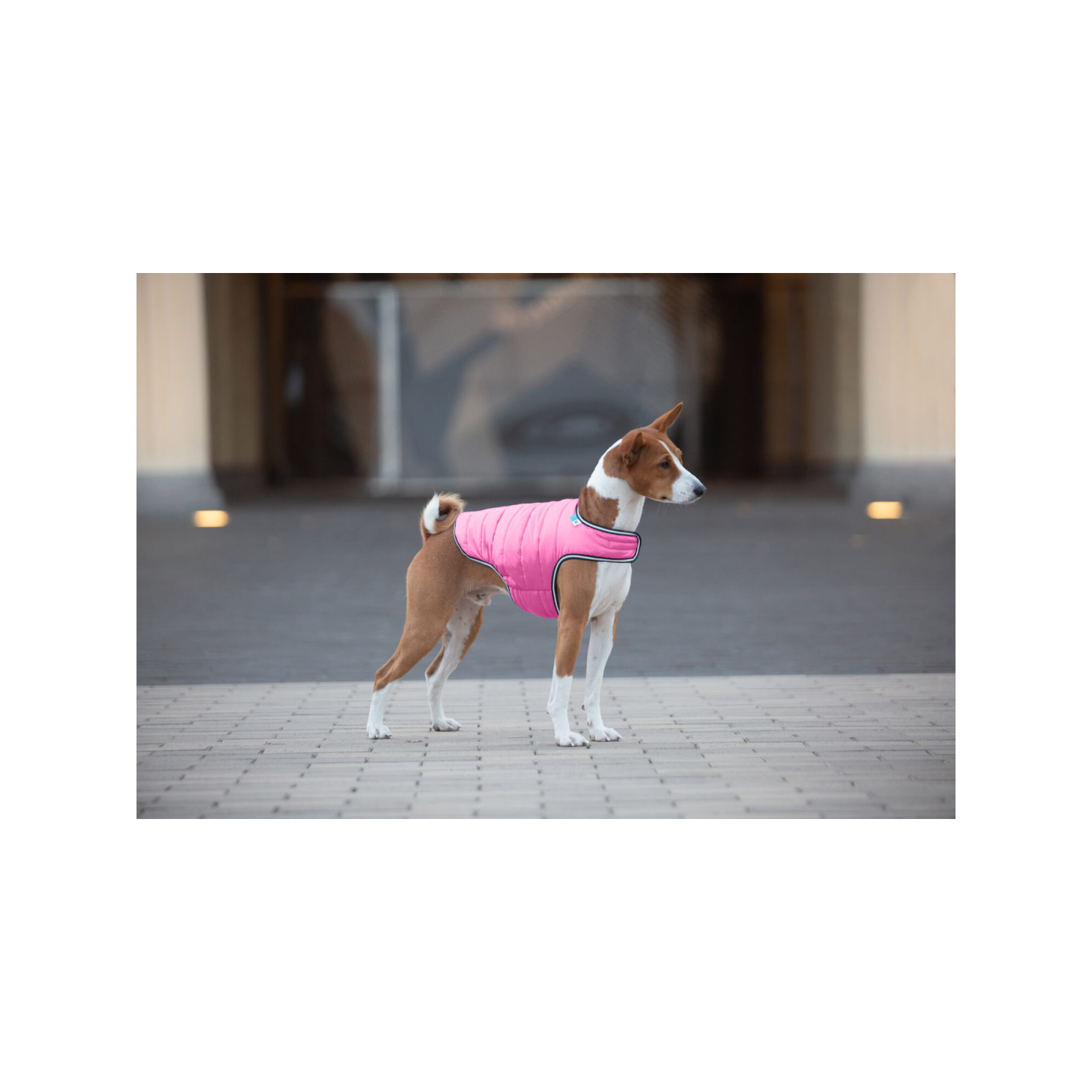 Курточка для животных Airy Vest XS фиолетовая (15419) изображение 3