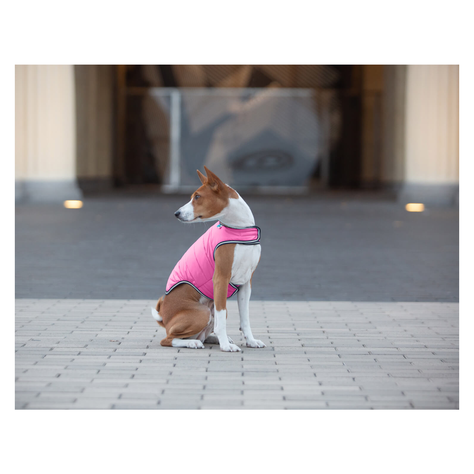 Курточка для животных Airy Vest XS фиолетовая (15419) изображение 5