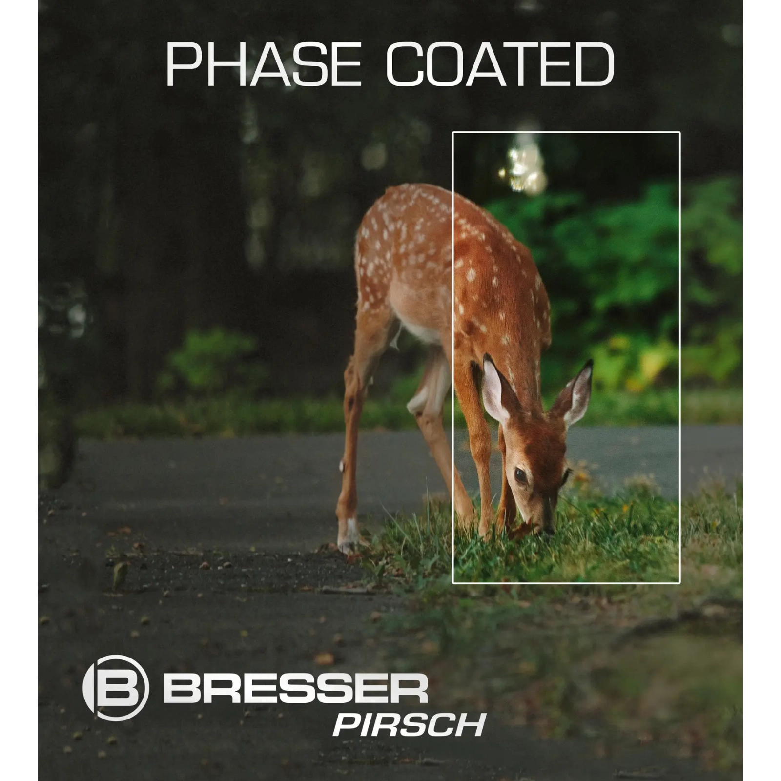 Бінокль Bresser Pirsch 8x34 WP Phase Coating (1720834) (930246) зображення 10