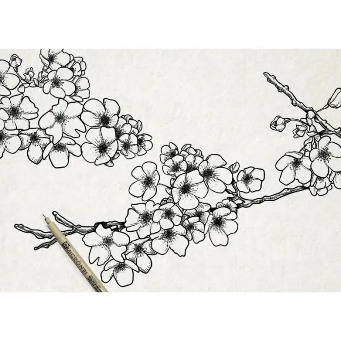 Лайнер Sakura Набор Pigma Micron 6шт, Черный (8710141049449) изображение 3