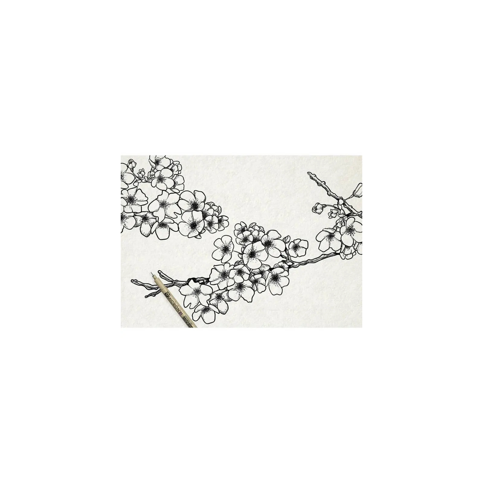 Лайнер Sakura Набор Pigma Micron 6шт, Черный (8710141049449) изображение 3