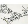 Лайнер Sakura Набор Pigma Micron 6шт, Черный (8710141049449) изображение 3