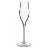 Набор бокалов Luigi Bormioli Vinoteque Grappa 105 мл 6шт/уп (09651/06)